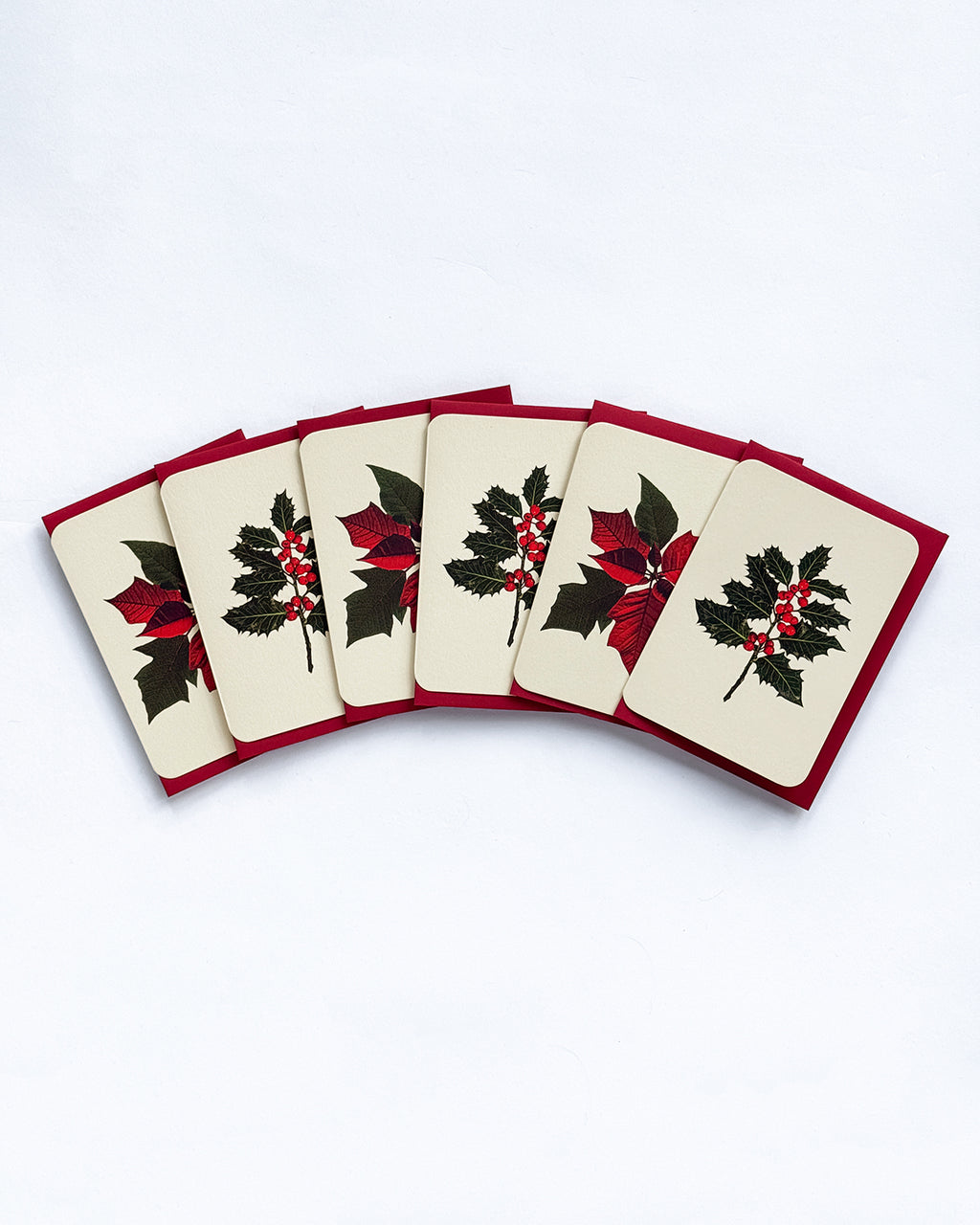 Christmas Botanicals Mixed Set of 6 Greeting Cards
