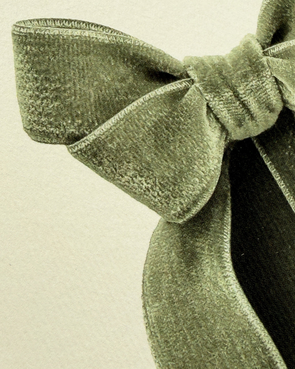 Sage Velvet Bow Greeting Card