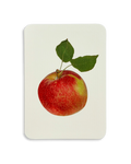 Tydeman's Late Orange Apple Greeting Card