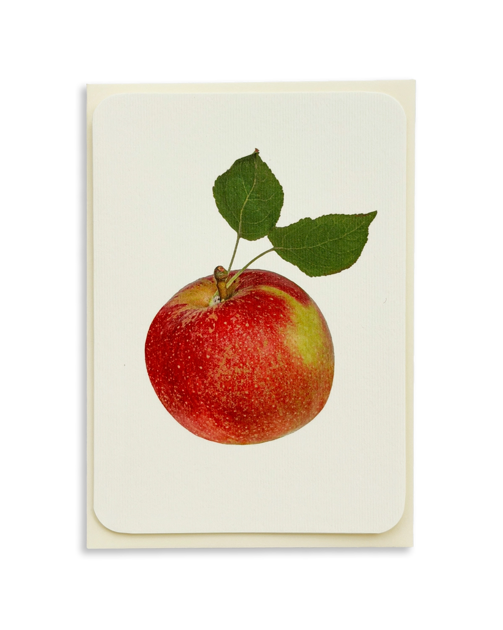 Tydeman's Late Orange Apple Greeting Card