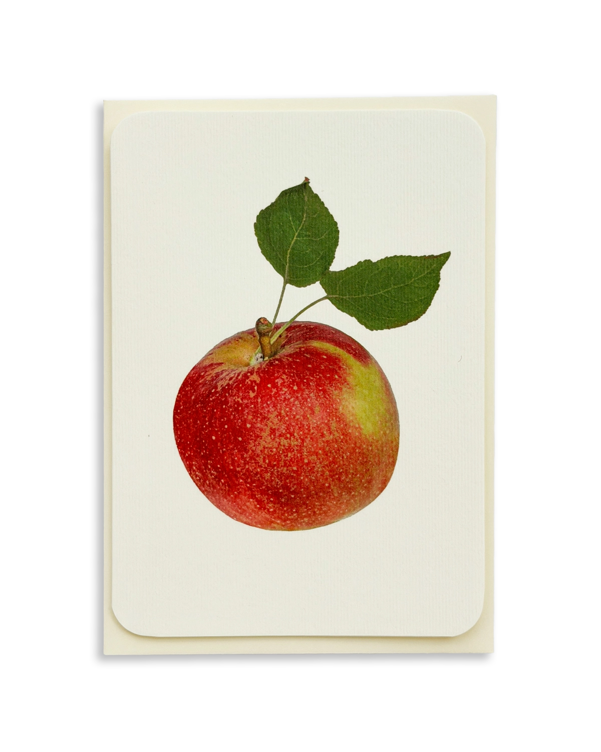 Tydeman's Late Orange Apple Greeting Card