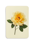 Vanilla Rose Greeting Card
