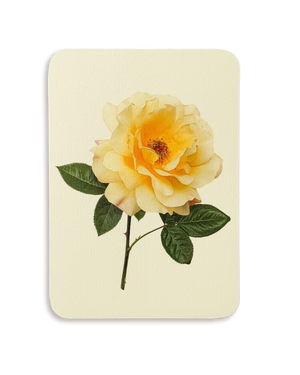 Vanilla Rose Greeting Card
