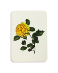 Yellow Rose Greeting Card