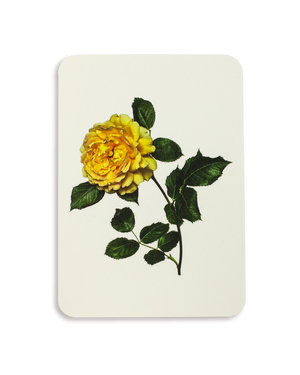 Yellow Rose Greeting Card