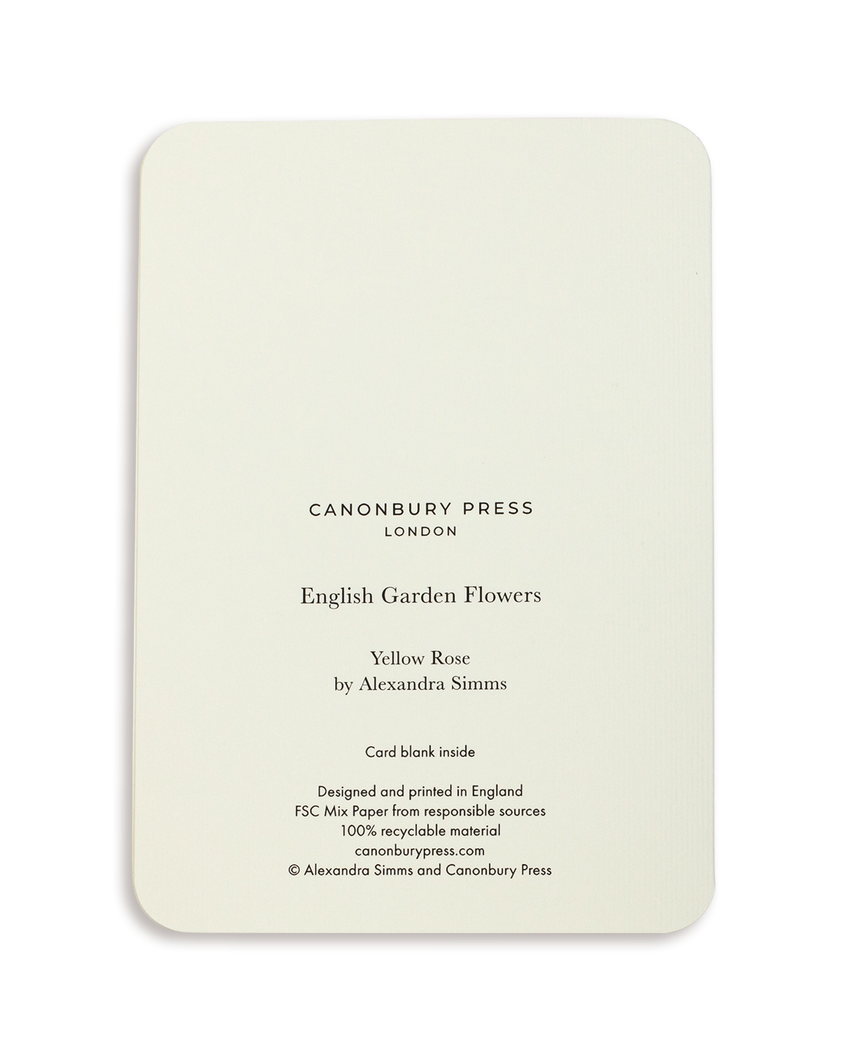 Yellow Rose Greeting Card