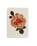 Antique Blush Rose Greeting Card