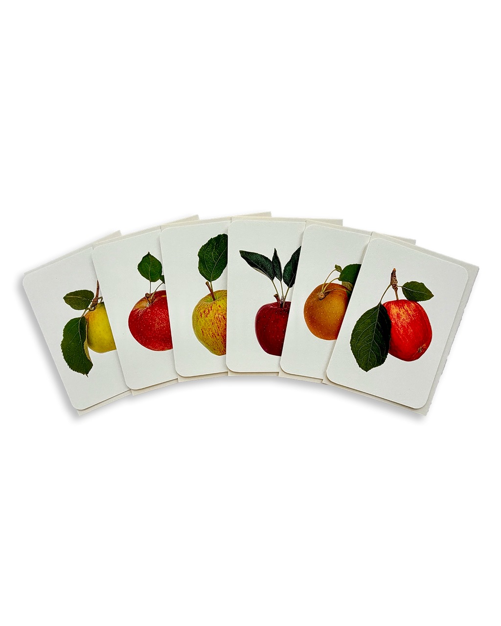 English Garden Apples Mixed Set of 6 Greeting Cards