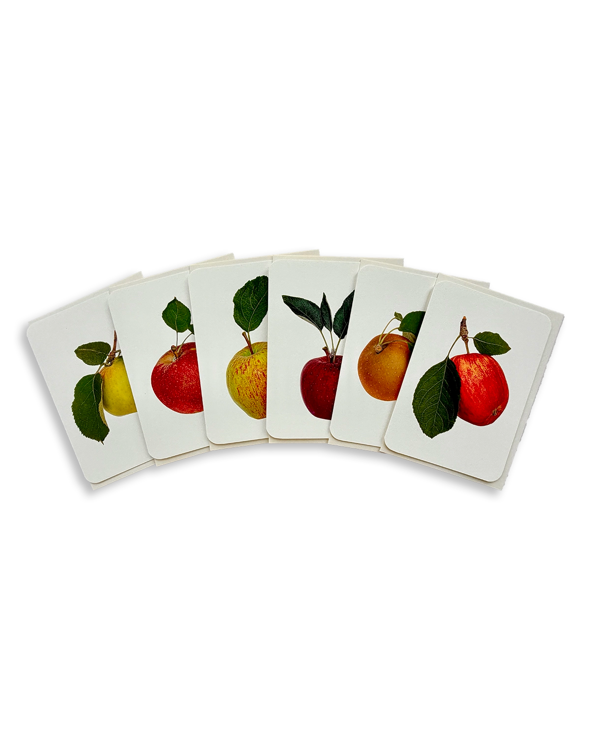 English Garden Apples Mixed Set of 6 Greeting Cards