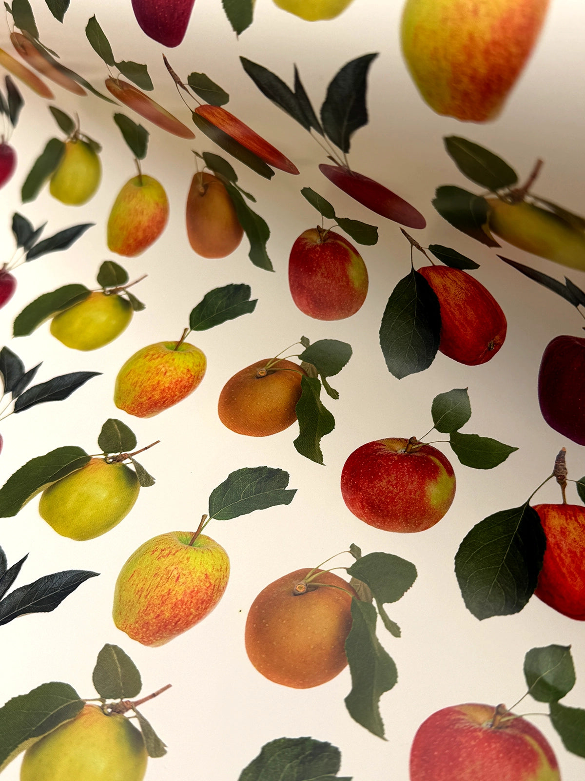 English Garden Apples Wrapping Paper