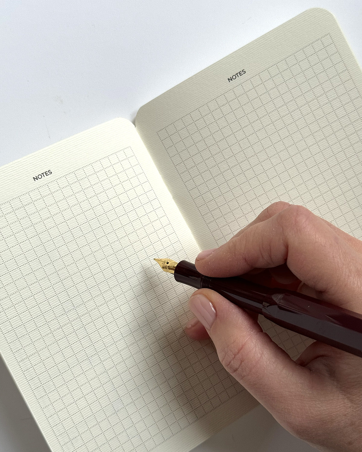 Birthday Planner Notebook