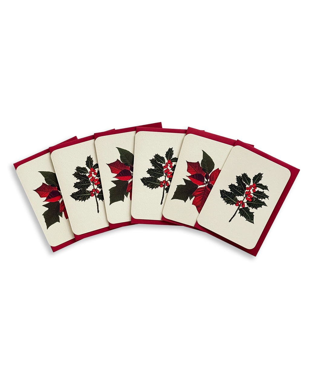 Christmas Botanicals Mixed Set of 6 Greeting Cards