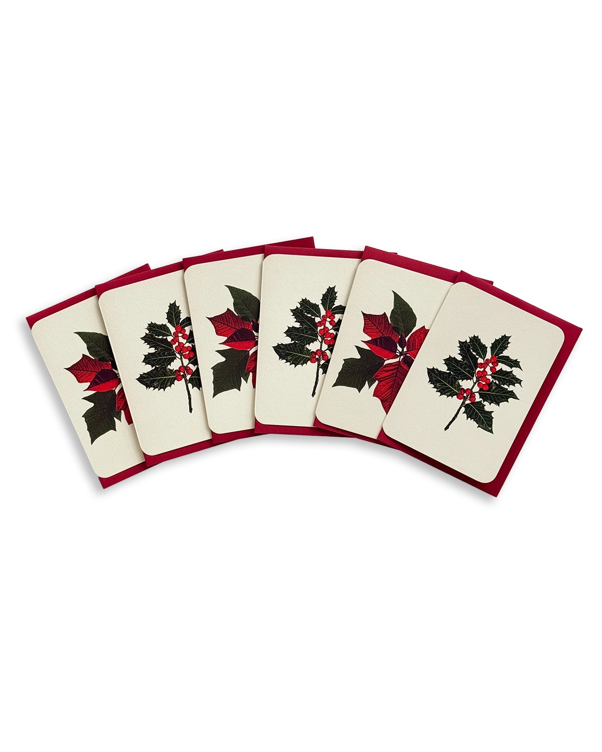 Christmas Botanicals Mixed Set of 6 Greeting Cards