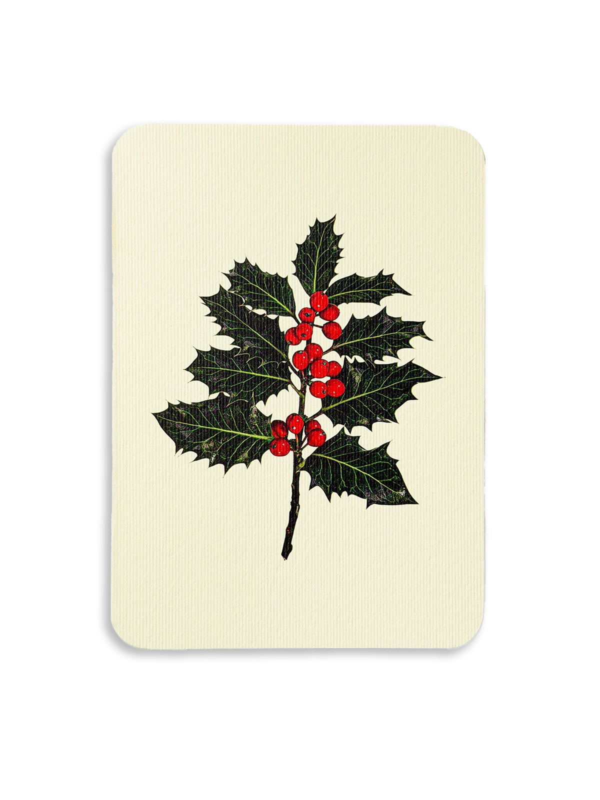 Christmas Holly Greeting Card