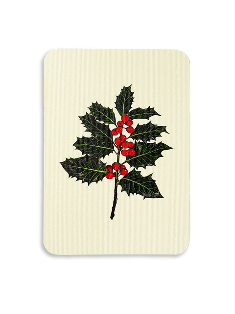 Christmas Holly Greeting Card