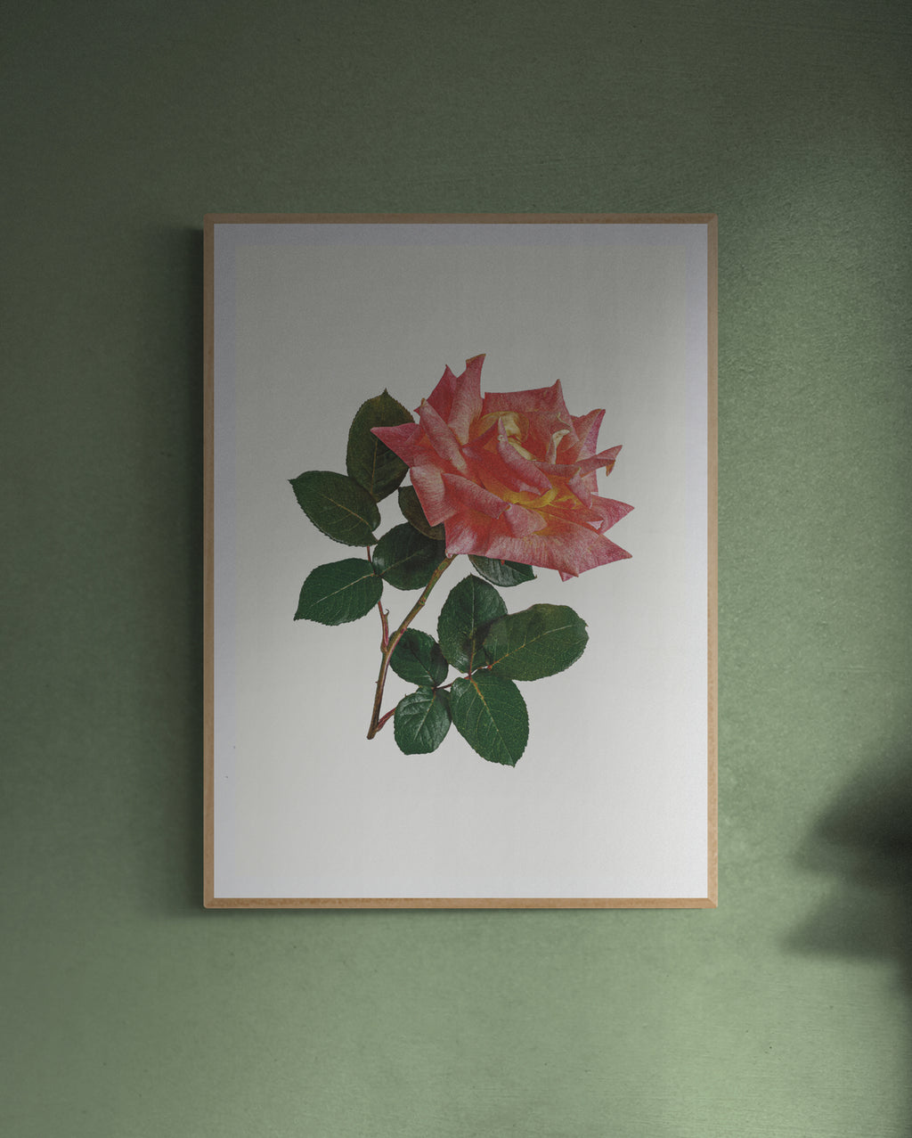 Pink & Yellow Rose Print