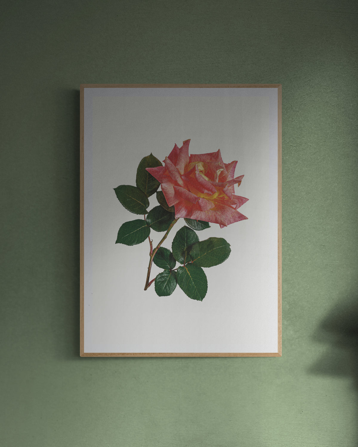 Pink & Yellow Rose Print