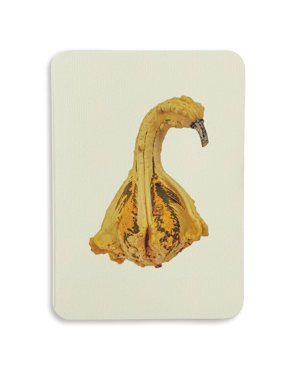 Ornamental Gourd No.1 Greeting Card
