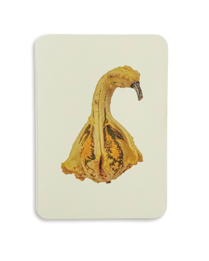 Ornamental Gourd No.1 Greeting Card
