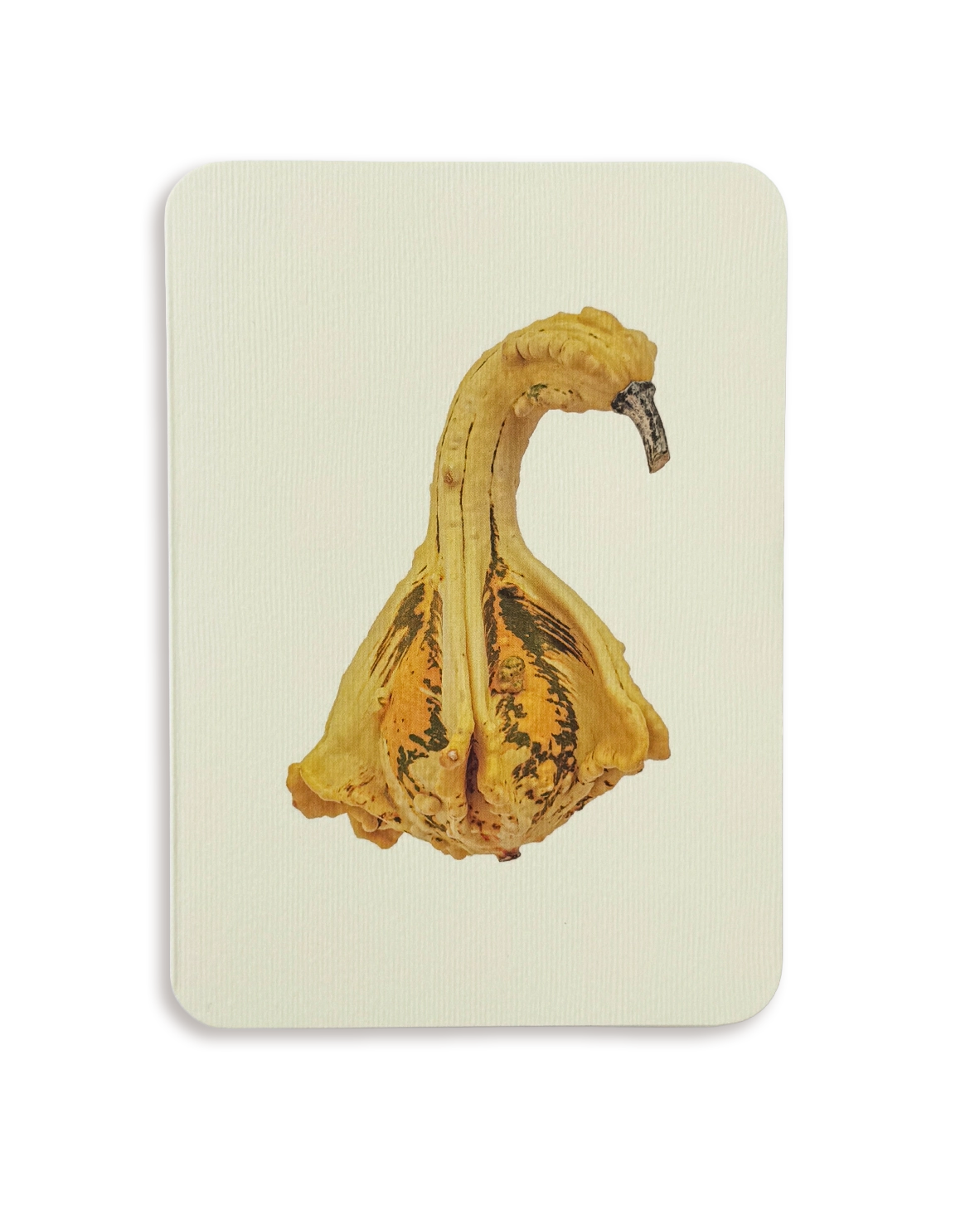 Ornamental Gourd No.1 Greeting Card