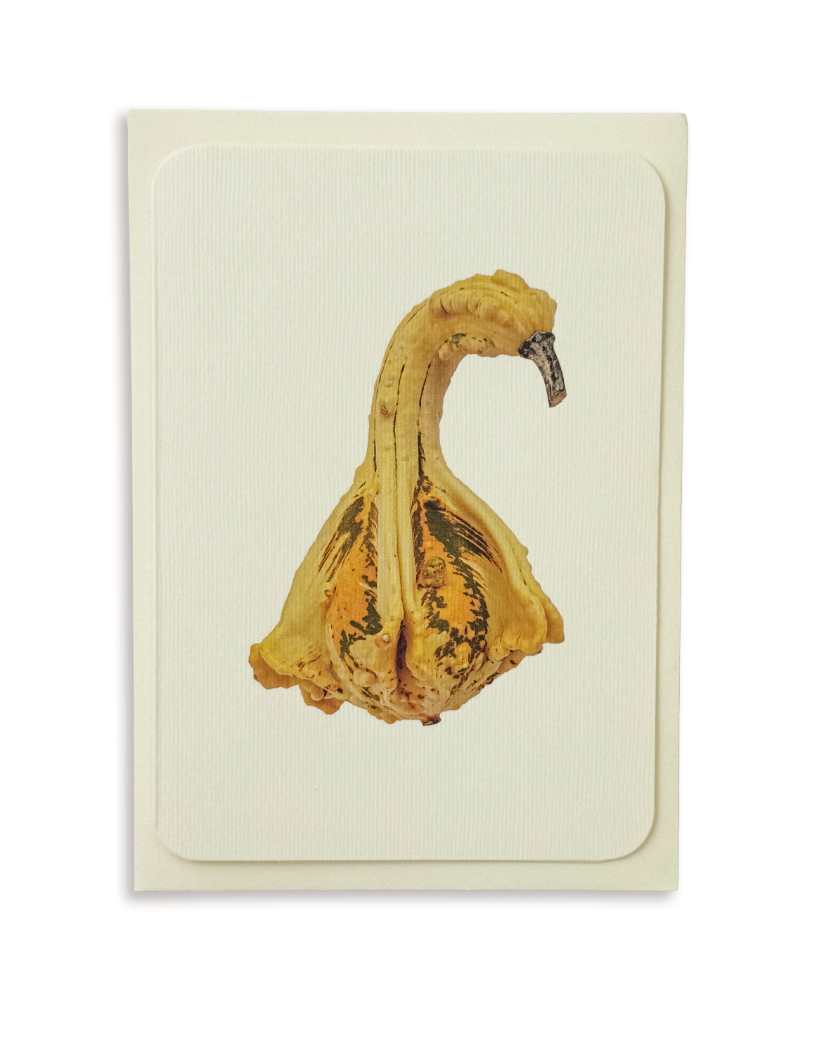 Ornamental Gourd No.1 Greeting Card