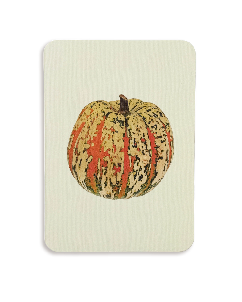 Ornamental Gourd No.2 Greeting Card