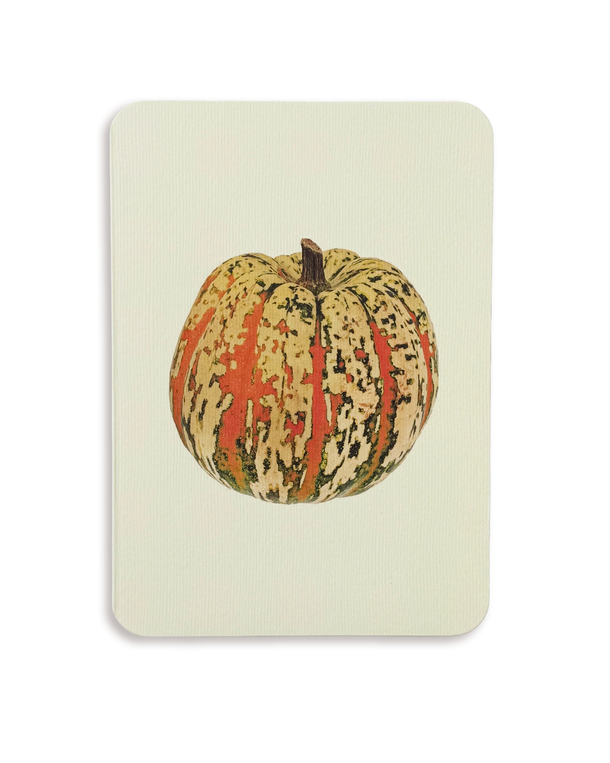 Ornamental Gourd No.2 Greeting Card