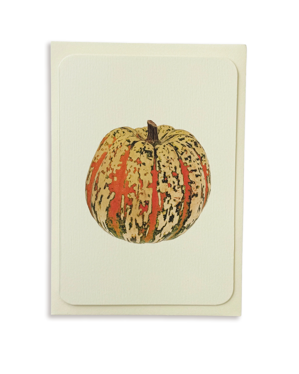 Ornamental Gourd No.2 Greeting Card
