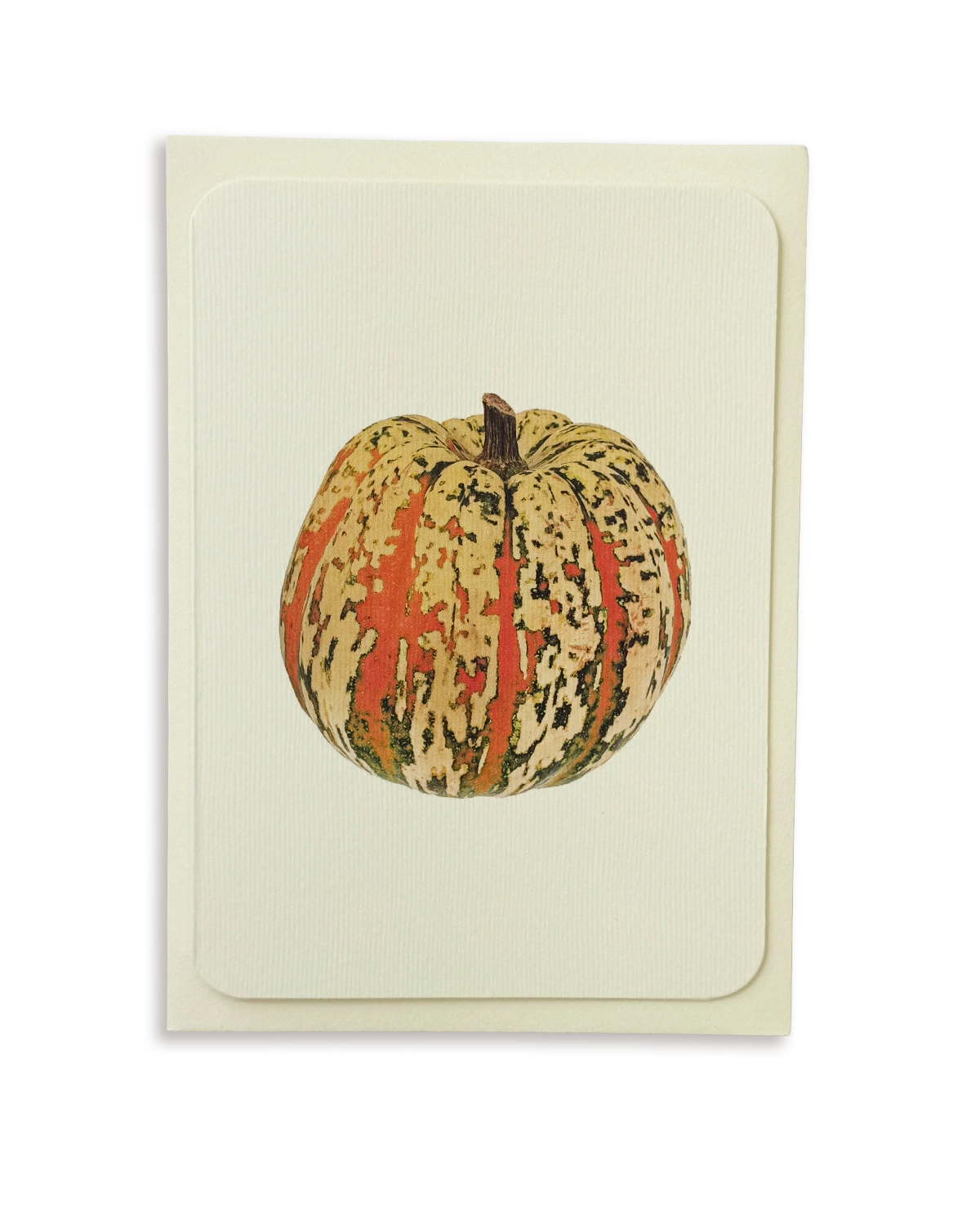 Ornamental Gourd No.2 Greeting Card