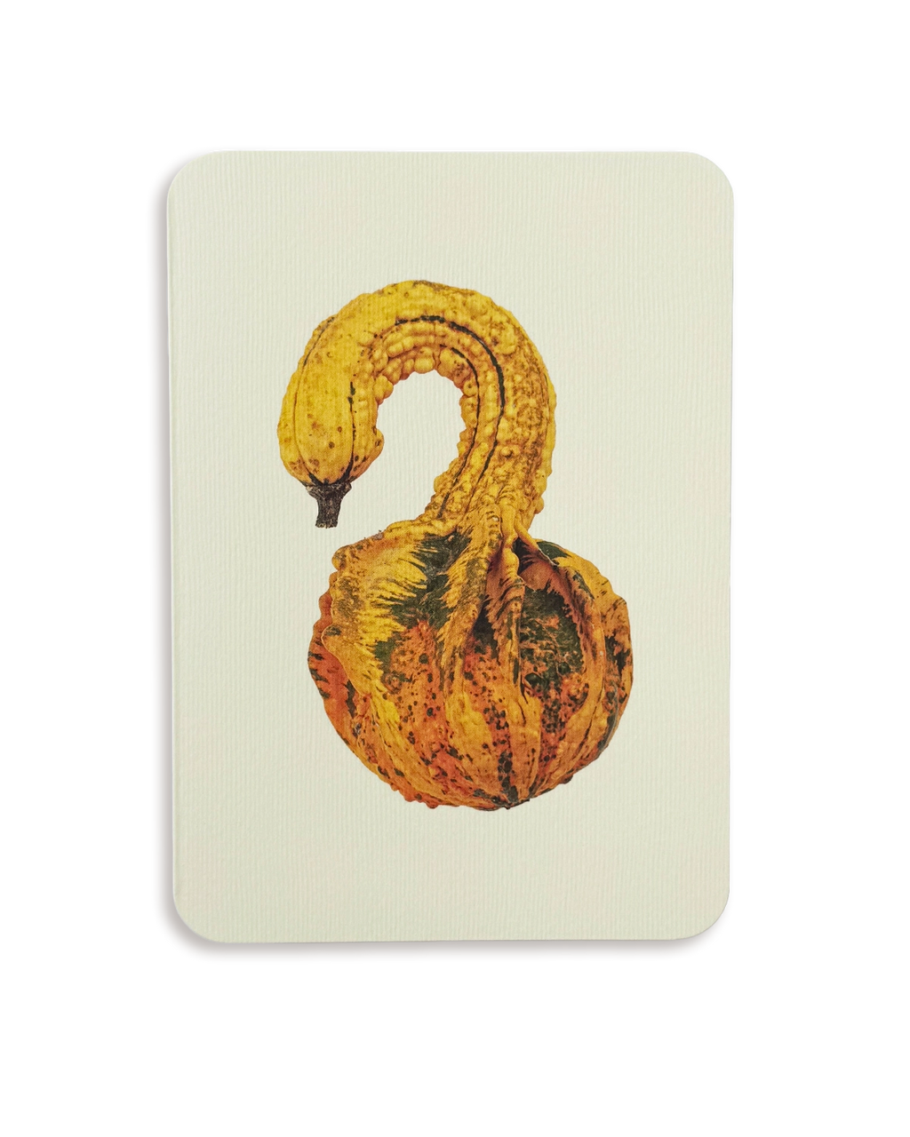Ornamental Gourd No.3 Greeting Card