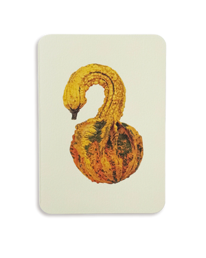 Ornamental Gourd No.3 Greeting Card