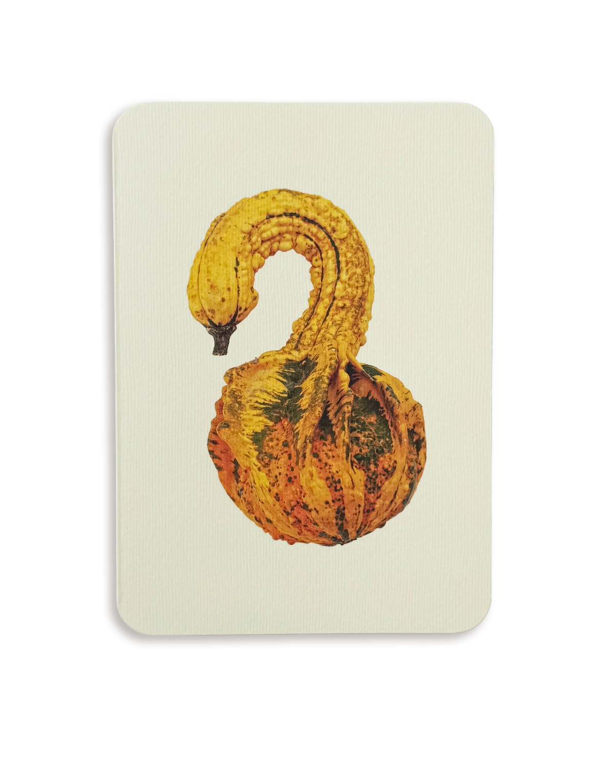 Ornamental Gourd No.3 Greeting Card
