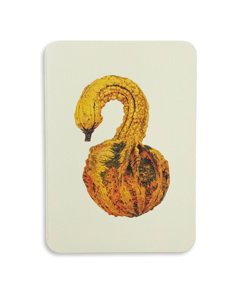 Ornamental Gourd No.3 Greeting Card