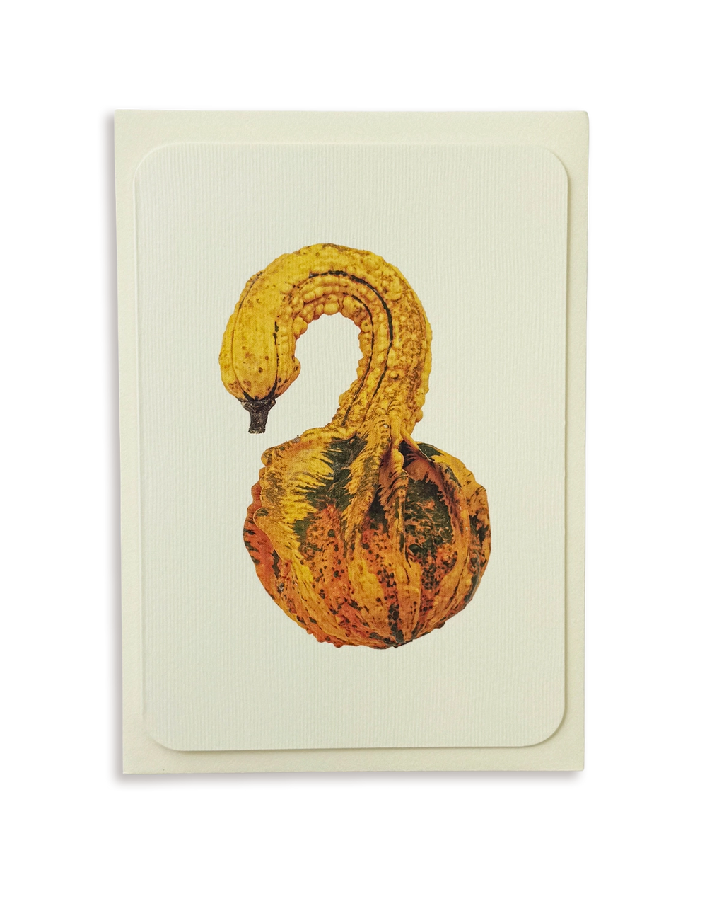 Ornamental Gourd No.3 Greeting Card