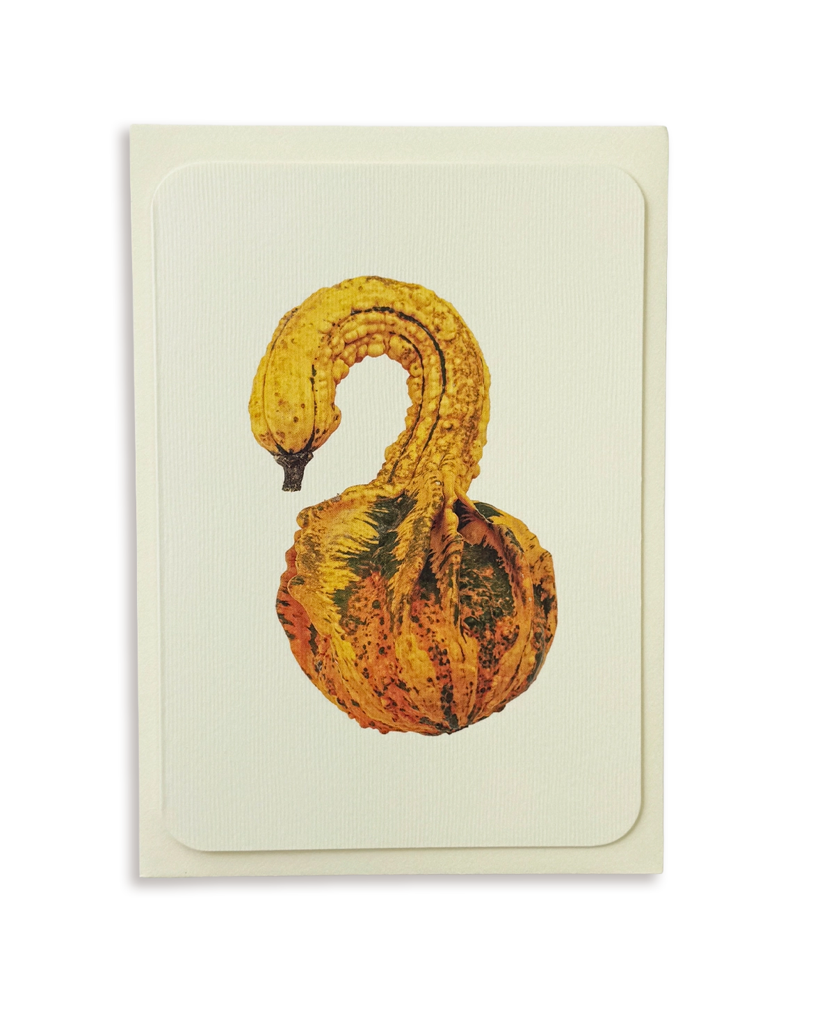 Ornamental Gourd No.3 Greeting Card