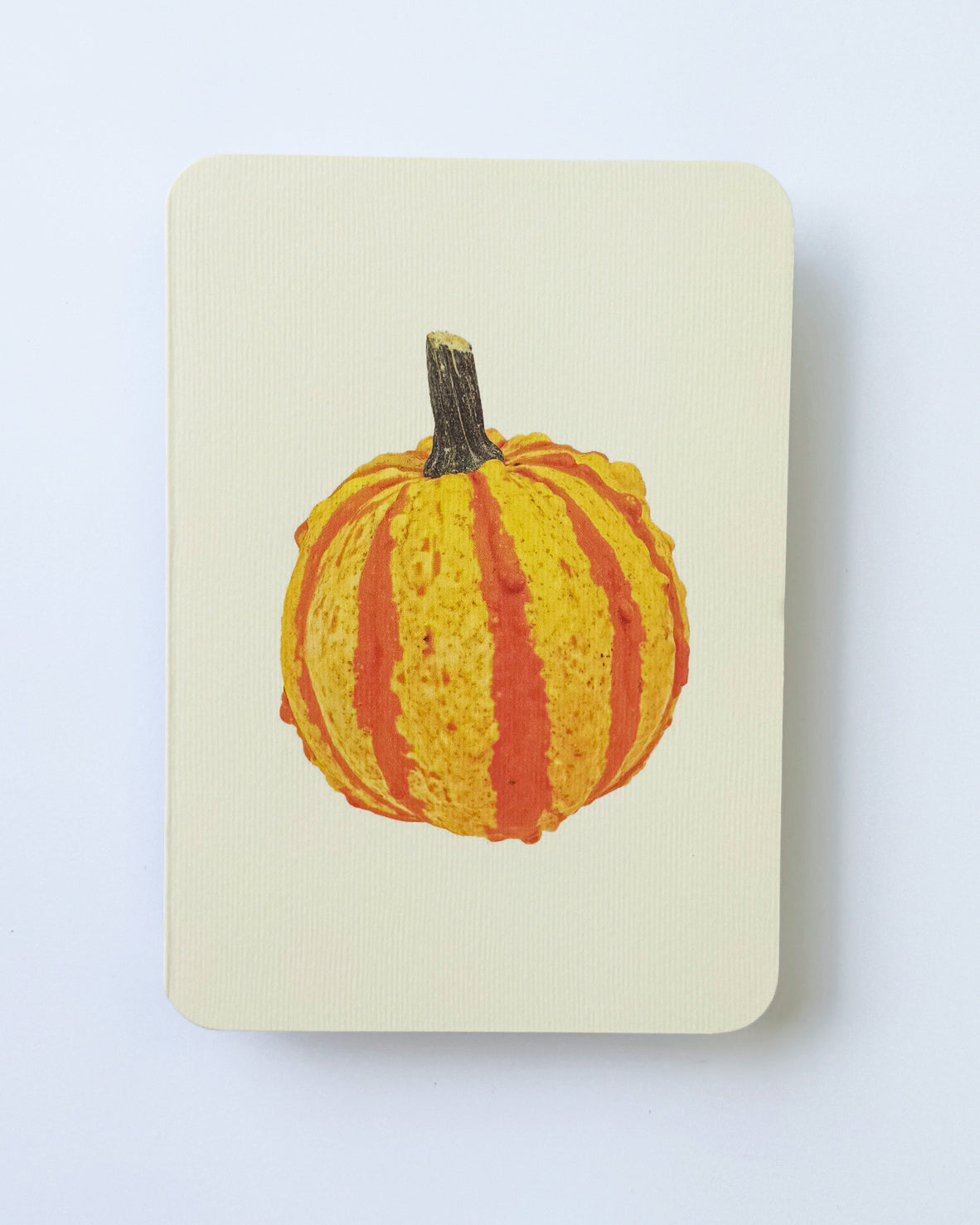 Ornamental Gourds Mixed Set Greeting Cards