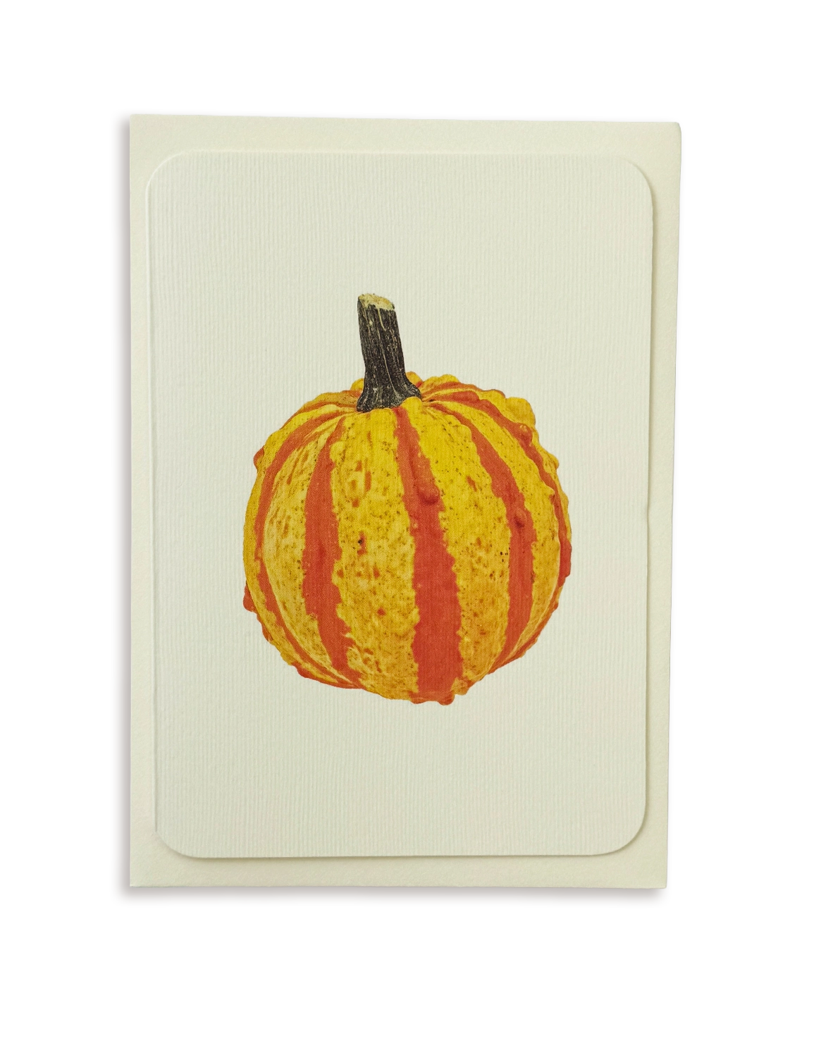 Ornamental Gourd No.4 Greeting Card
