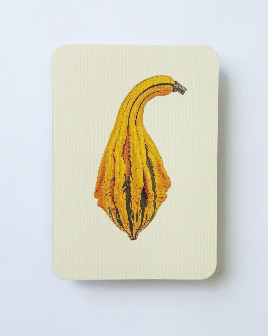Ornamental Gourds Mixed Set Greeting Cards