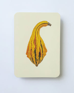 Ornamental Gourd No.5 Greeting Card