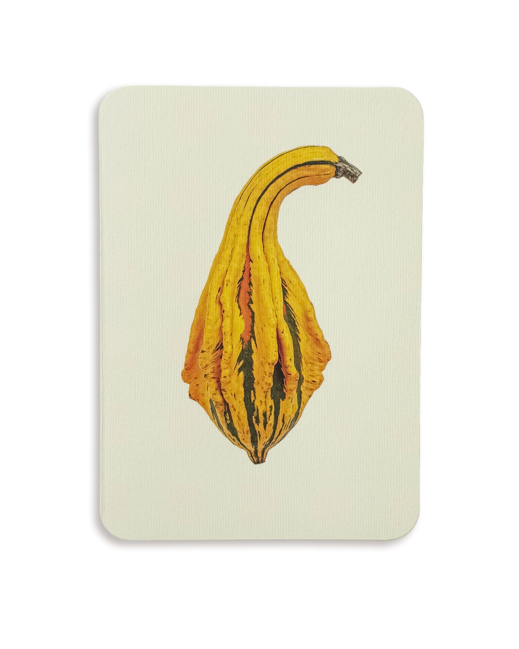 Ornamental Gourd No.5 Greeting Card