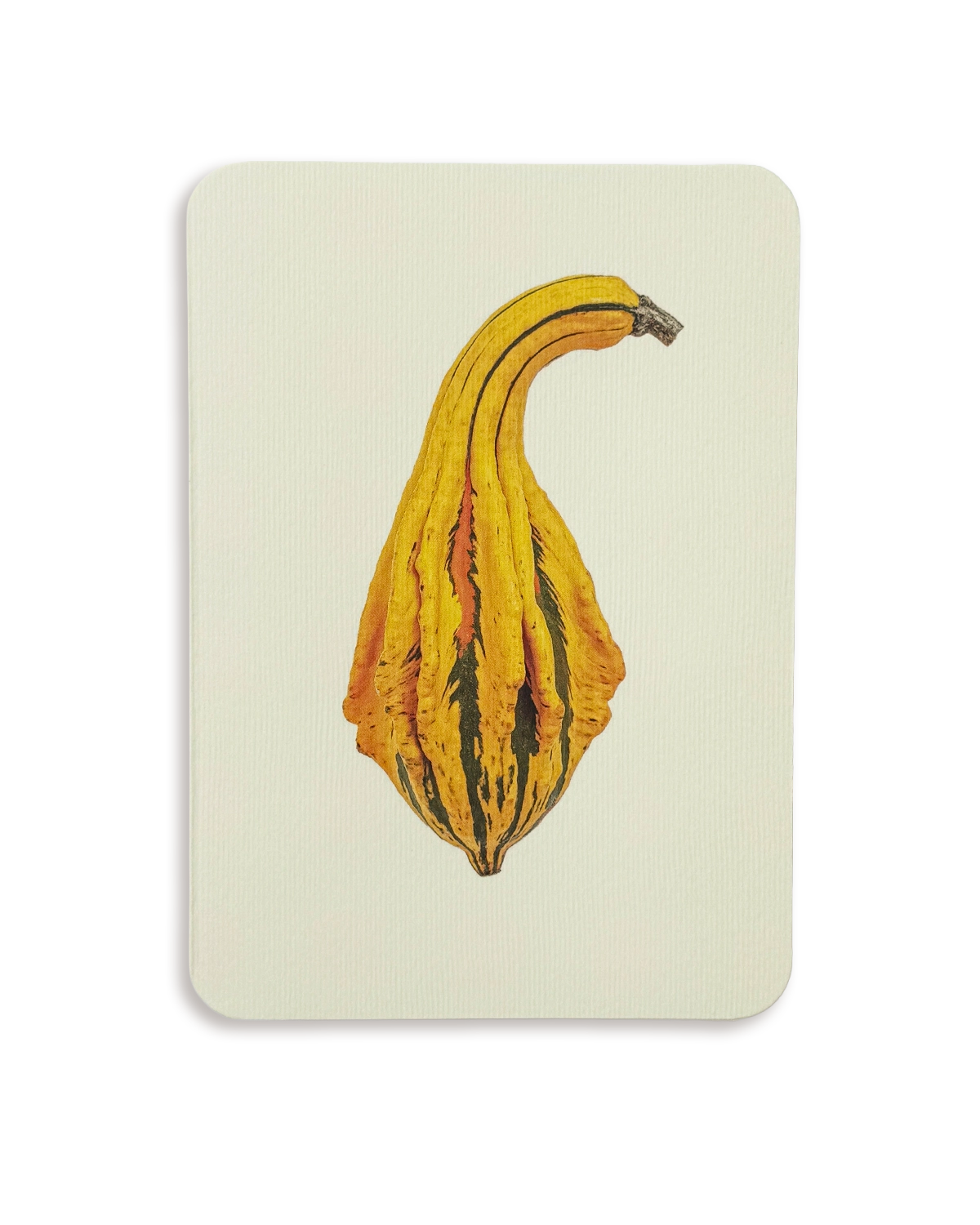 Ornamental Gourd No.5 Greeting Card