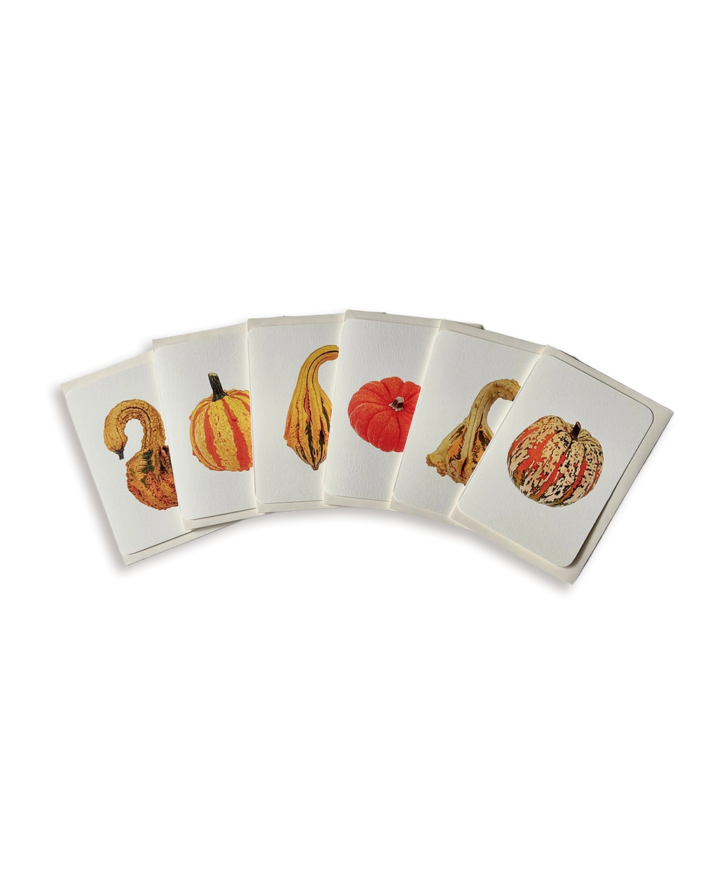 Ornamental Gourds Mixed Set of 6 Greeting Cards