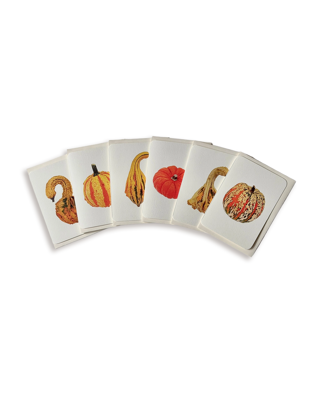 Ornamental Gourds Mixed Set of 6 Greeting Cards