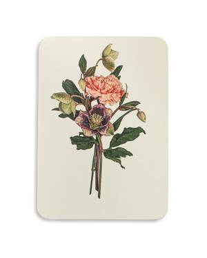 Posy of Hellebore & Carnation Greeting Card
