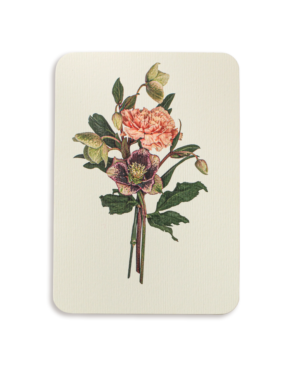 Posy of Hellebore & Carnation Greeting Card