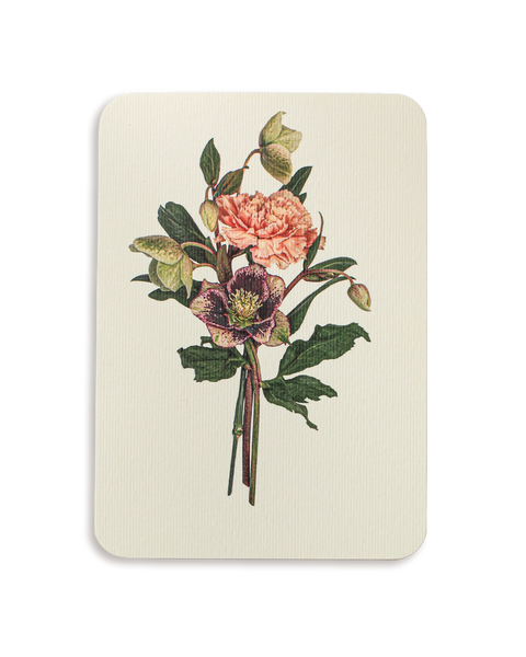 Posy of Hellebore & Carnation Greeting Card