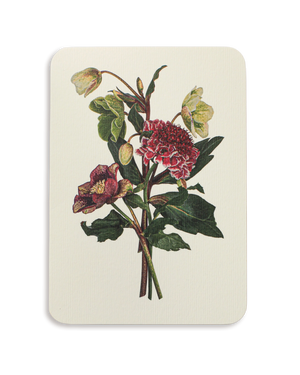Posy of Hellebore & Scabiosa I Greeting Card
