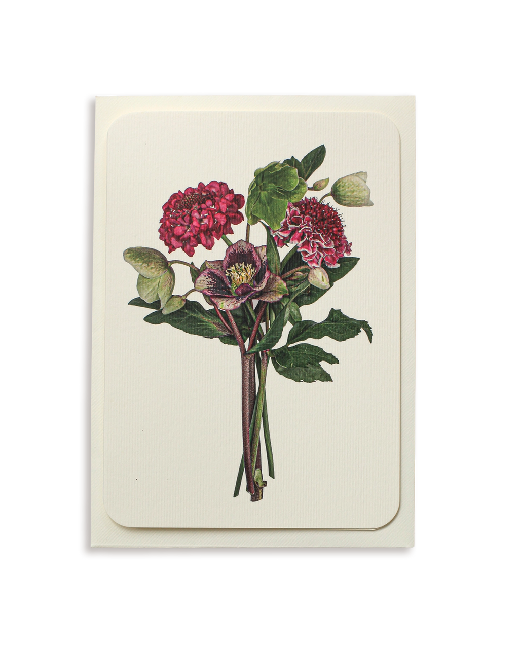 Posy of Hellebore & Scabiosa II Greeting Card