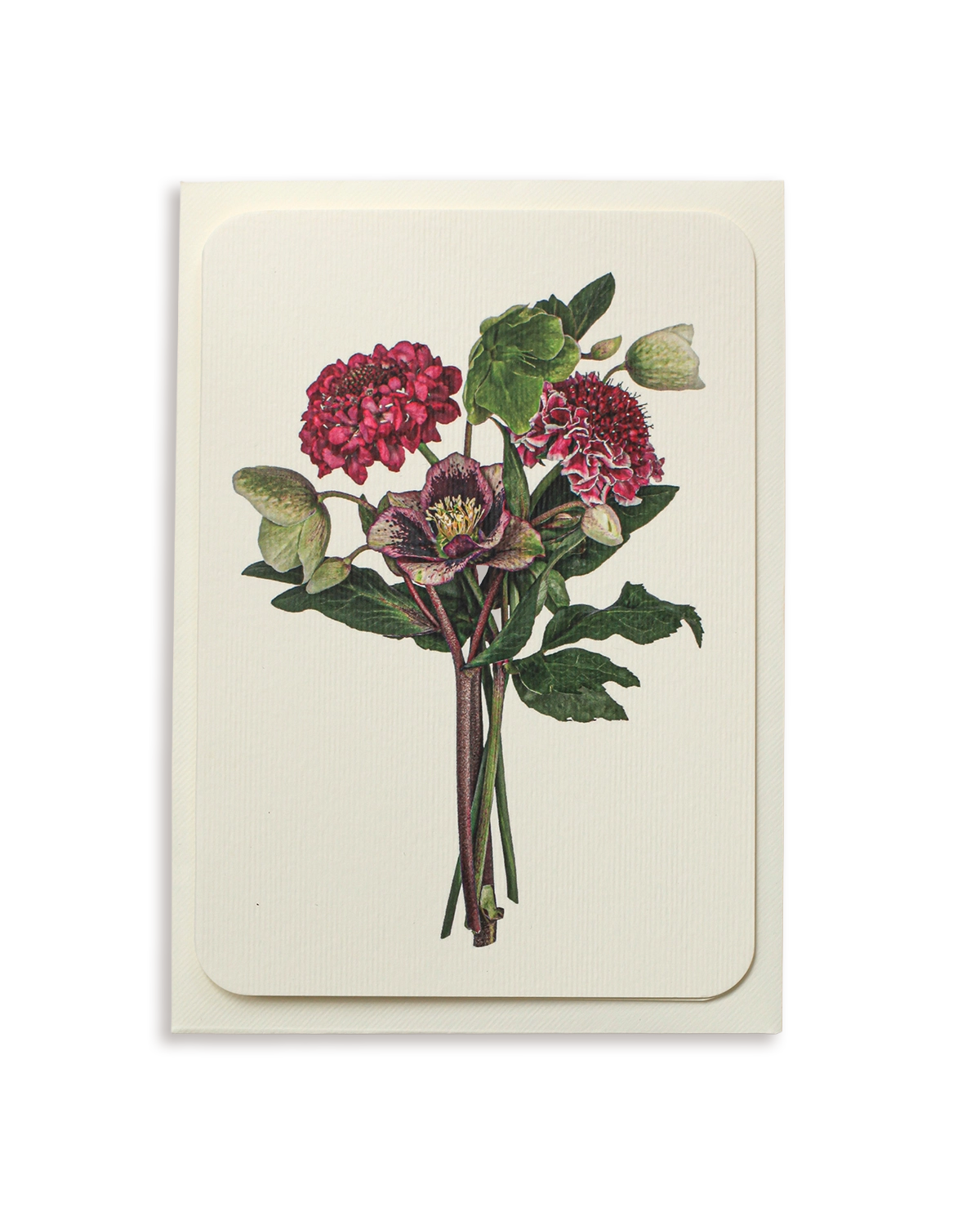 Posy of Hellebore & Scabiosa II Greeting Card