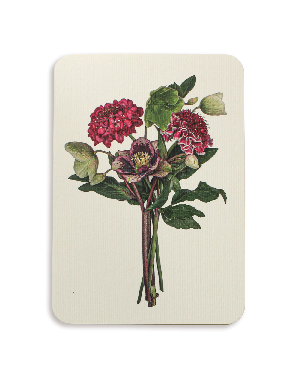 Posy of Hellebore & Scabiosa II Greeting Card